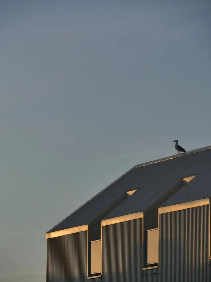Pitched roofline silhouetted at dusk
