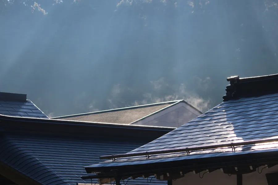 Slate roof on an overcast day